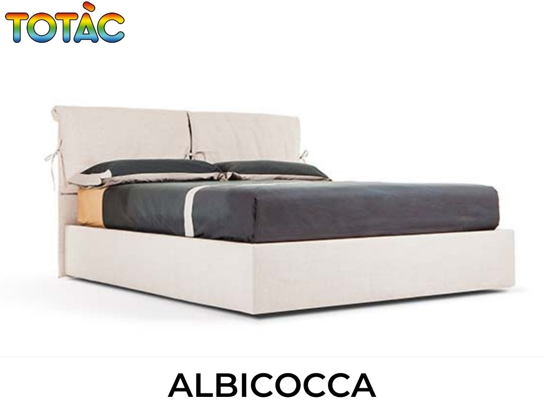 ALBICOCCA (2)